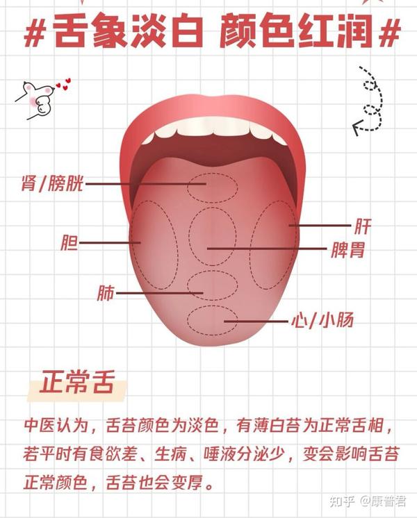 一张图让你简单看懂中医舌诊! - 知乎