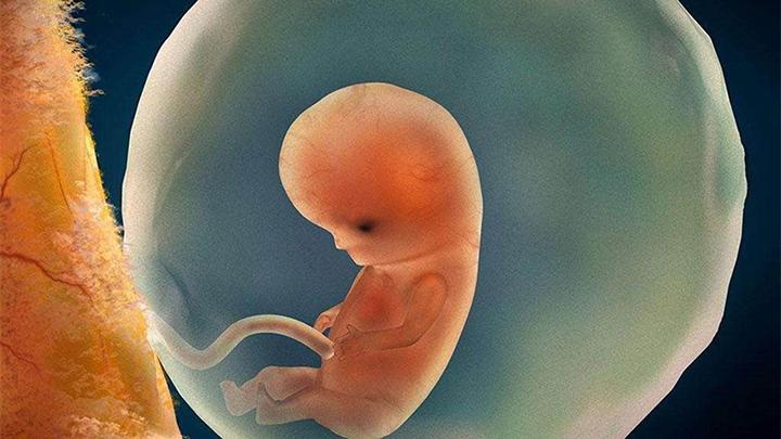 这两个月是胎儿大脑发育关键期,抓住机会,宝宝出生后会更聪明