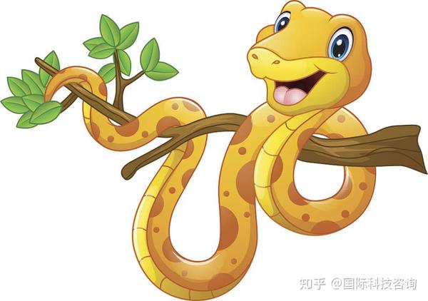 探索梦境奥秘，为何我晚上老是梦见蛇缠身？