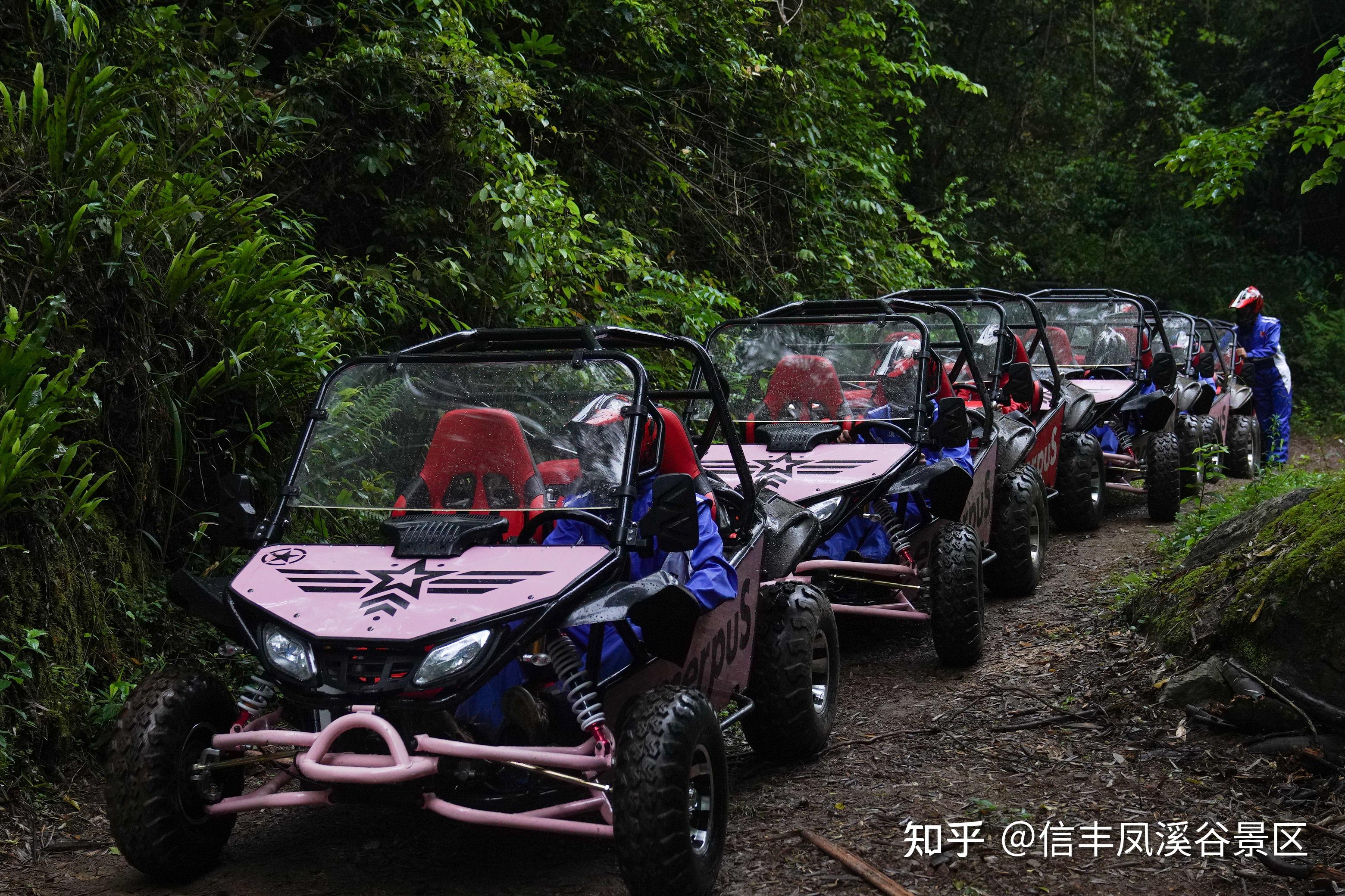 凤溪谷丛林越野激情上线:又野又酷炫,一次体验赚回本