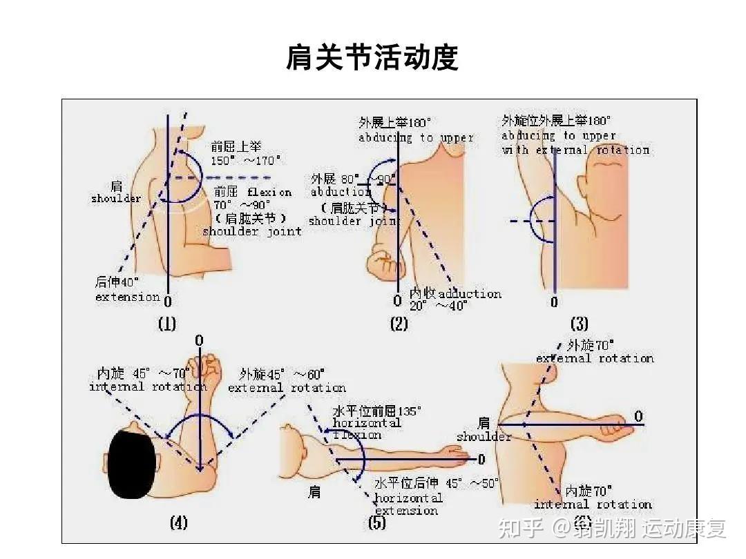 有了肩周炎