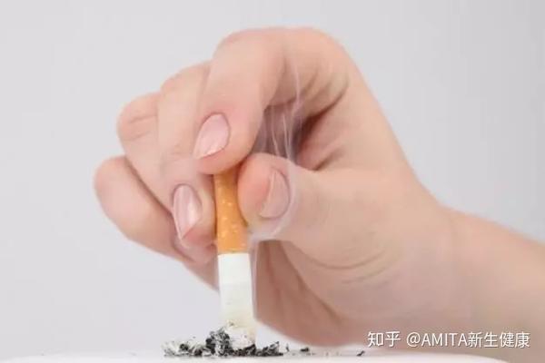 知乎专栏