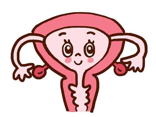 做试管必须要做宫腔镜吗?插图 做试管有必要做宫腔镜检查么?