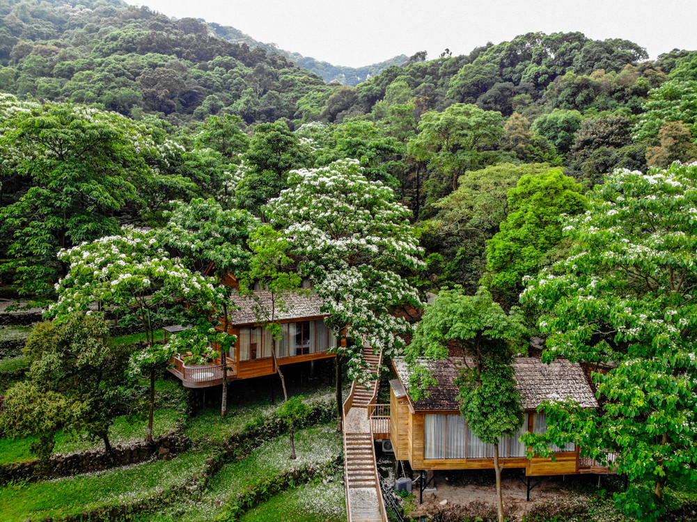 春天就要浪睡进森林里的小木屋民宿