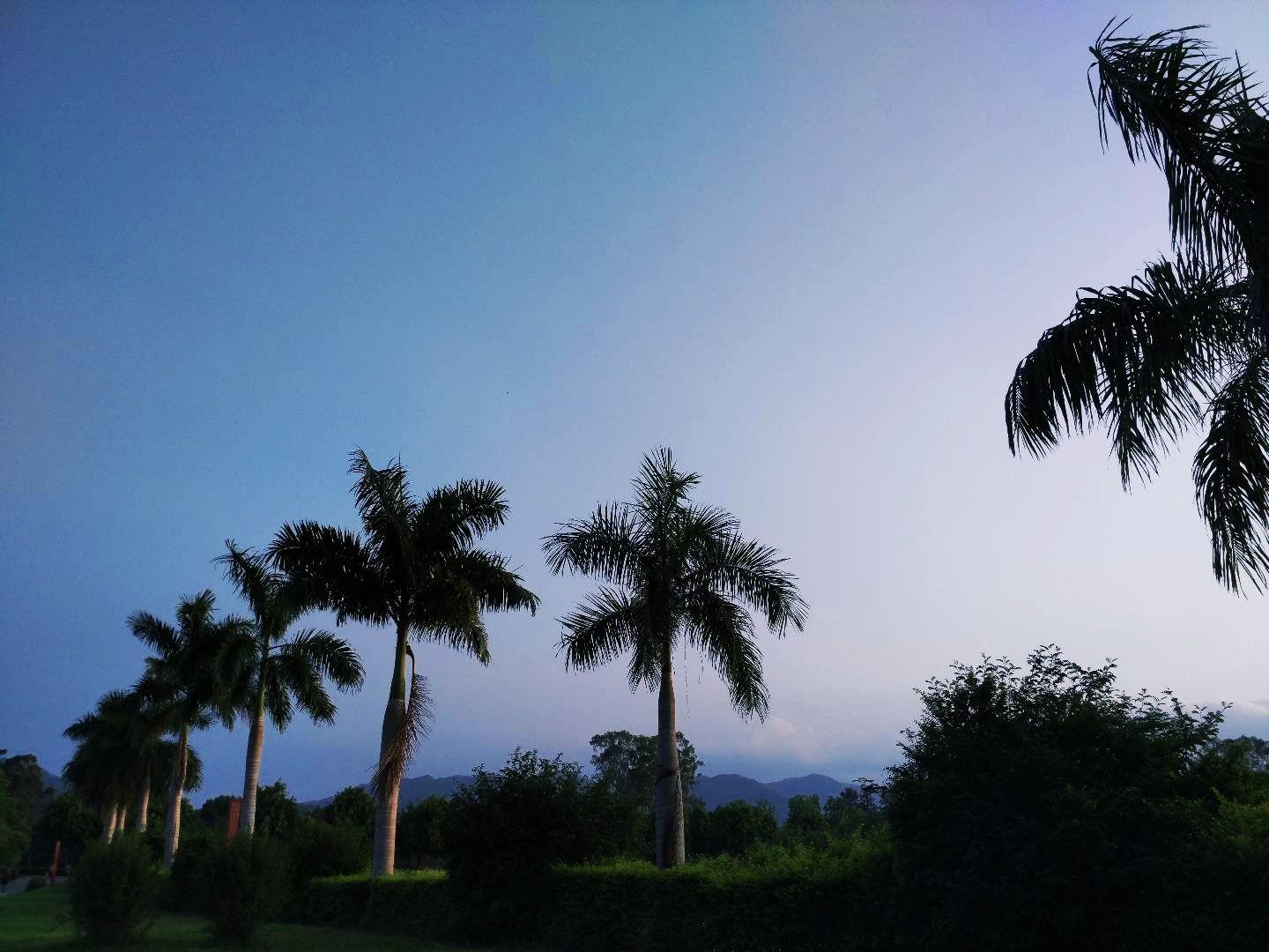 大学去当兵回来再读大学是种什么体验?