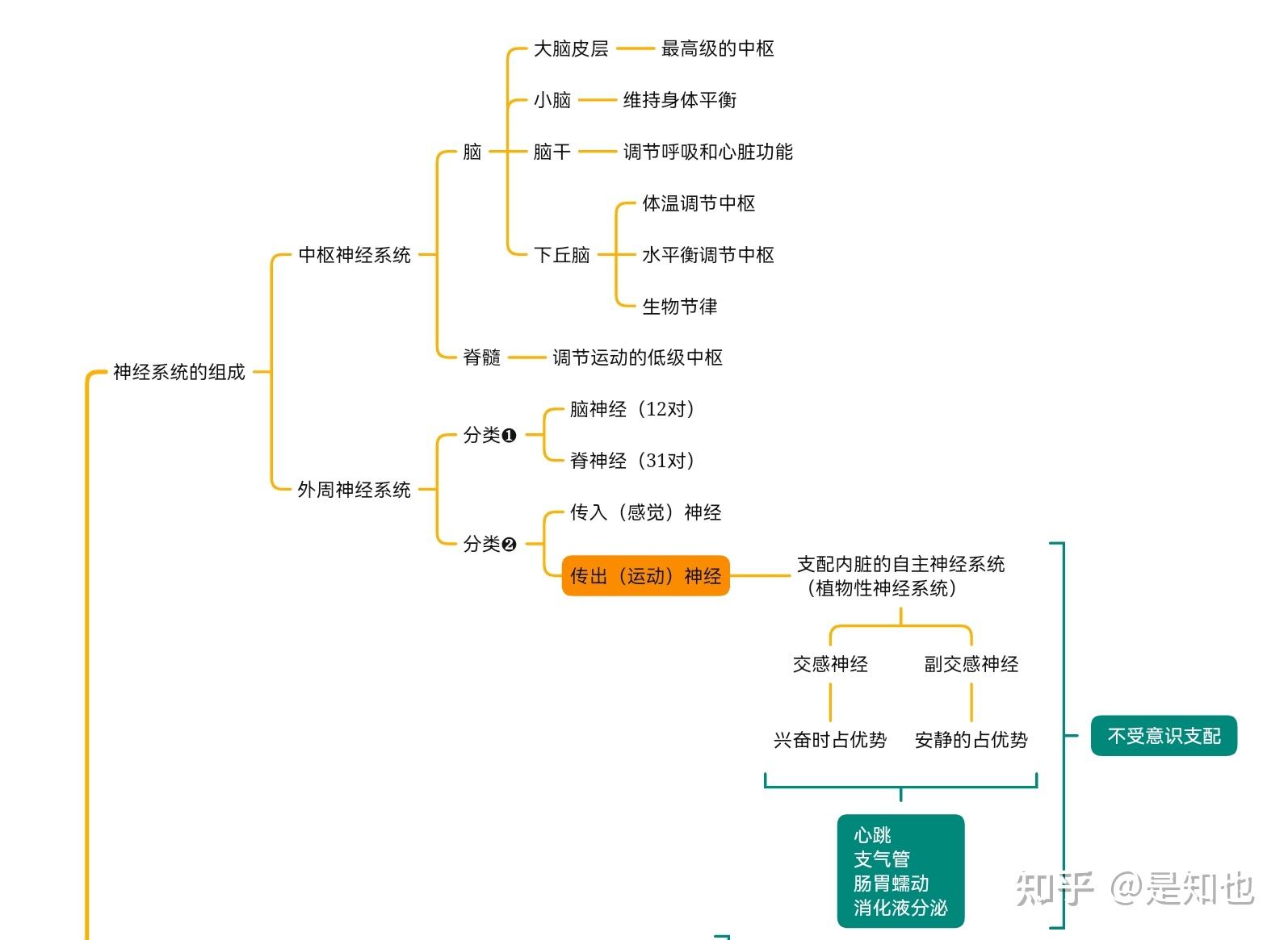 人教新版高中生物选择性必修一思维导图