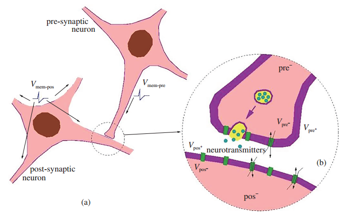 recent progress in memristors for stimulating synaptic