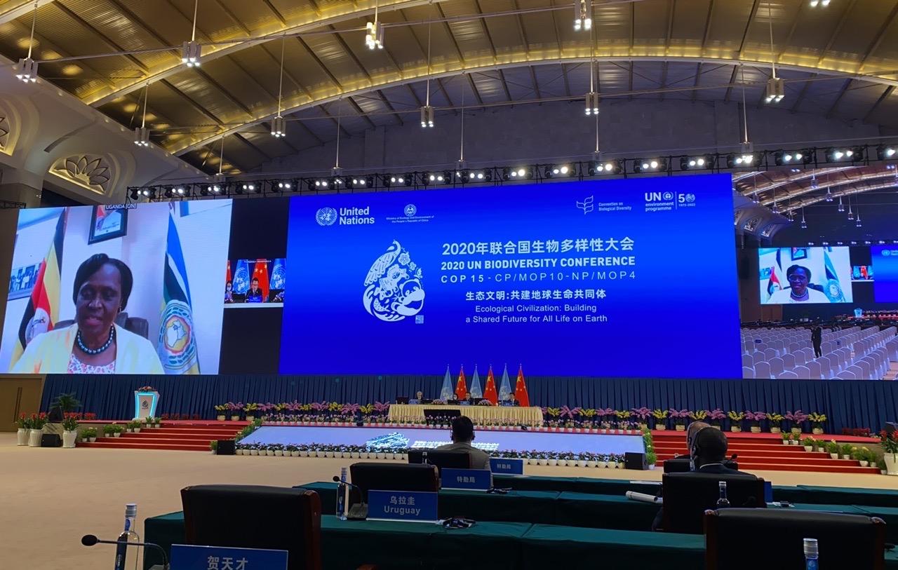 cbd cop15部长级平行圆桌会议|乌干达环境部部长