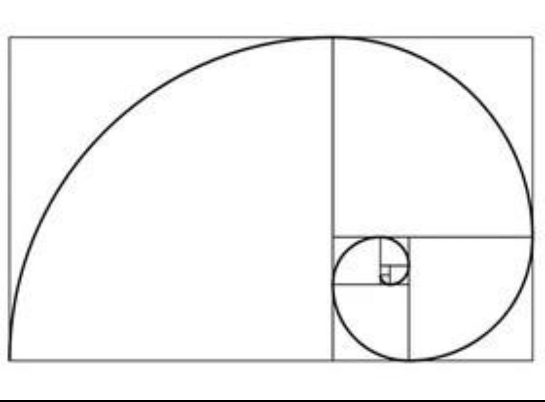 斐波那契数列的哲学含义？ - 知乎