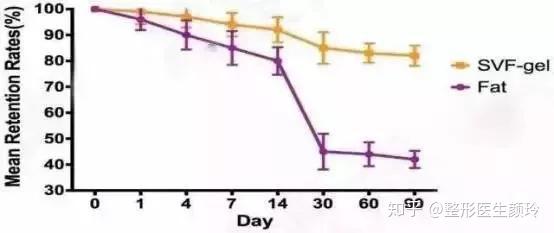 自体脂肪填充和SVF-GEL脂肪胶有什么区别？ - 知乎
