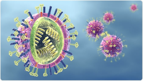 流感hivsars新型冠狀病毒都是rna病毒簡單聊一聊rna病毒知己知彼百戰