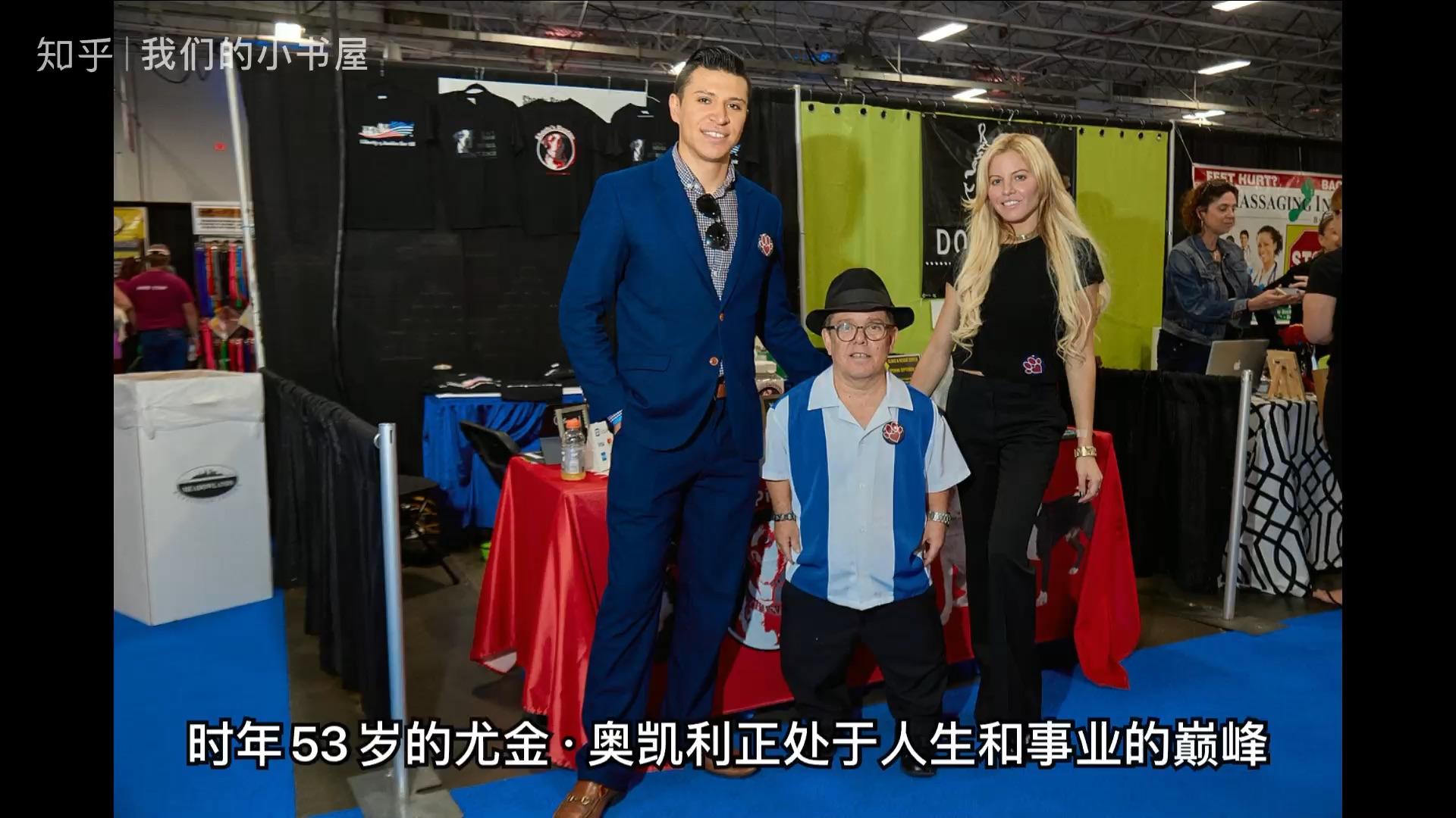 你当像鸟飞往你的山作者美塔拉韦斯特弗