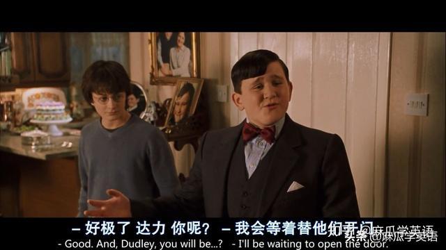 " said uncle vernonviciouslyto harry.