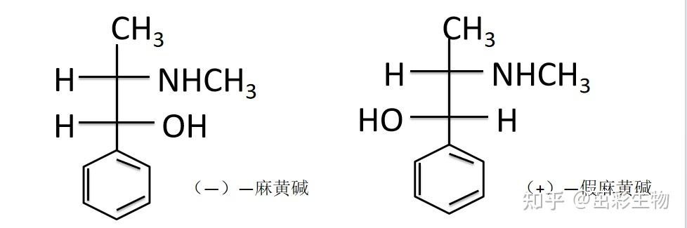 它是一个仲胺,不具含氮杂环,结构与麻黄碱茁彩生物