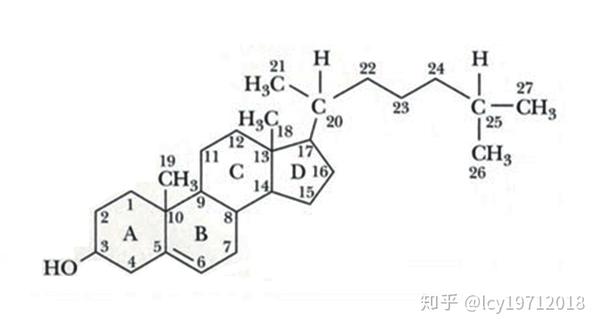 类固醇包括胆固醇 性激素 维生素d等人体必需物质 知乎