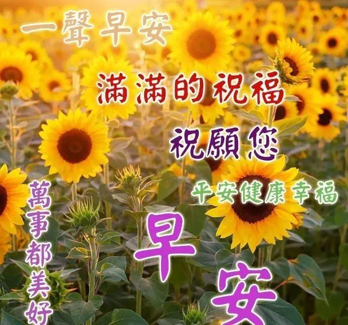 9月最新唯美早上好表情圖片帶字帶祝福語秋天微信朋友圈早安問候祝福