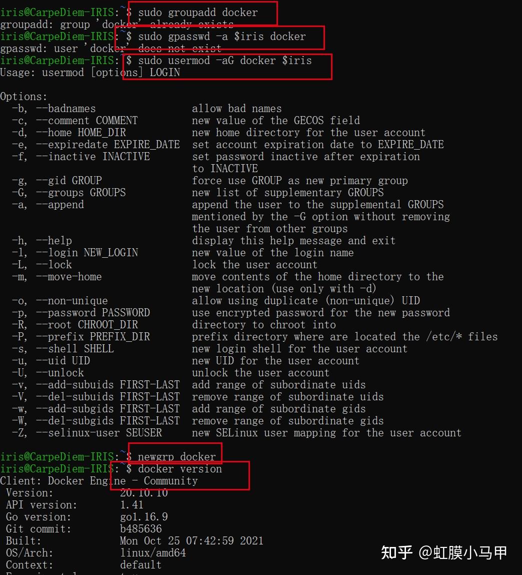  windows11 linux docker 