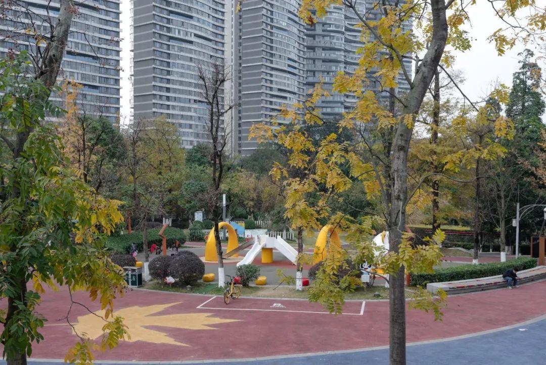 10个超宝藏成都公园,为你翻开一份「公园城市图鉴」 - 知乎