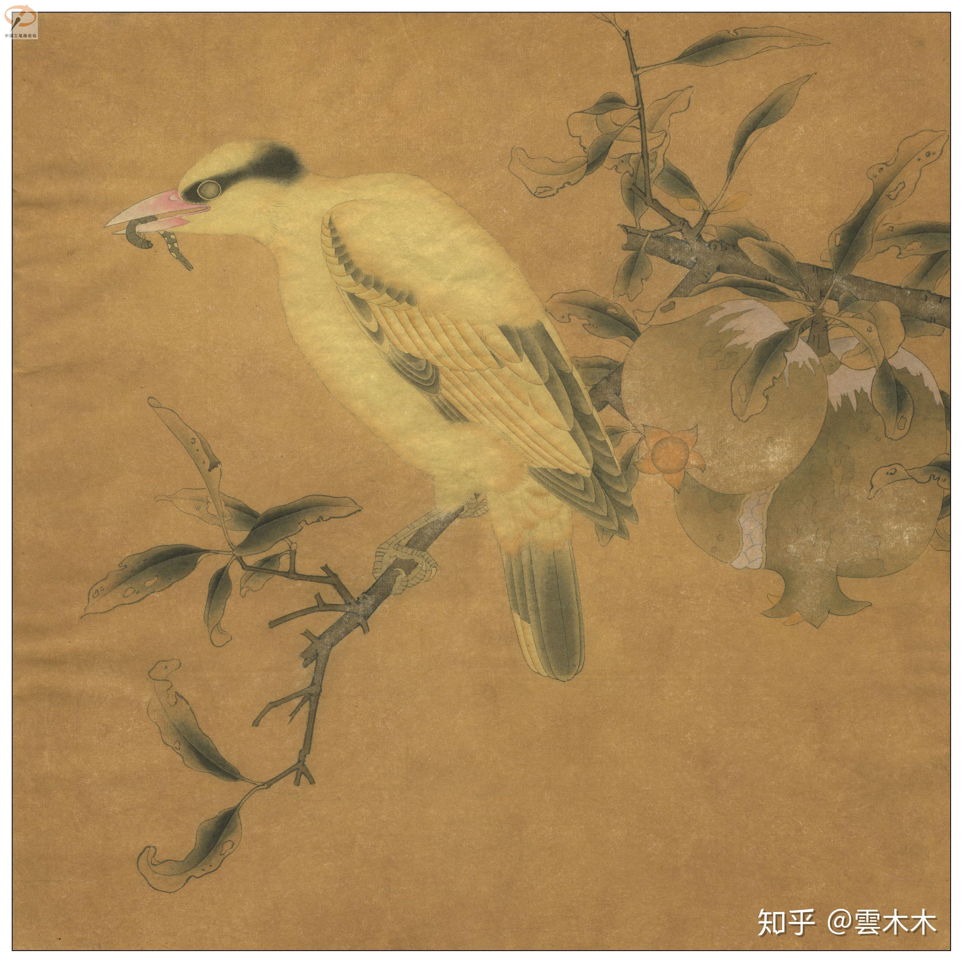 宋小品国画工笔绘画步骤图榴枝黄鸟图尺寸3535cm