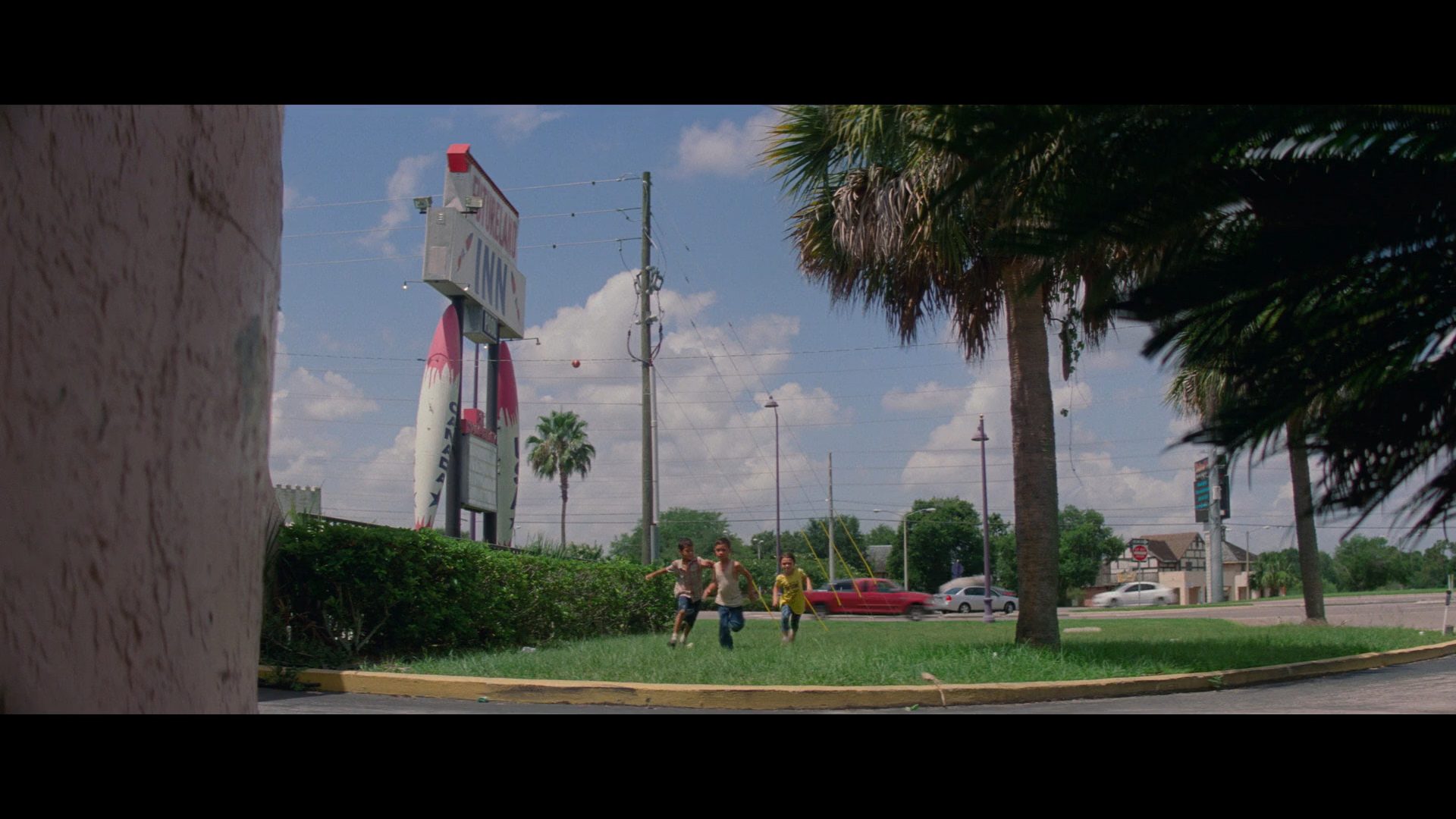 137佛罗里达乐园这是我最喜欢的一棵树因为它摔倒在地上却从未停止