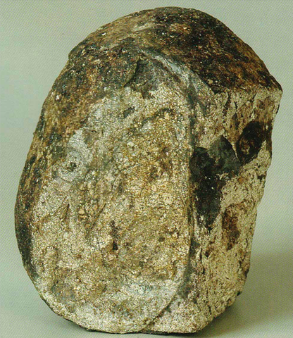 香水指南 七 龙涎香 沉香 麝香 到底闻起来是什么味 知乎