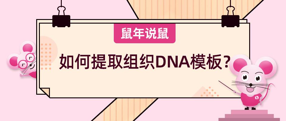 鼠年说鼠 第十期 如何提取组织dna模板 知乎