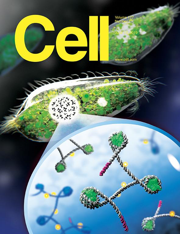 科学与艺术的结合！《CELL》100+张期刊封面鉴赏｜2019年篇 - 知乎