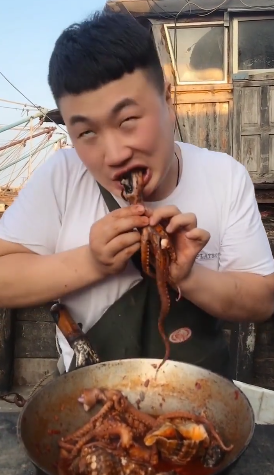 鱿鱼、章鱼、墨鱼、八爪鱼、乌贼傻傻分不清楚?一文教你记住它们(墨鱼章鱼鱿鱼八爪鱼乌贼的区别)