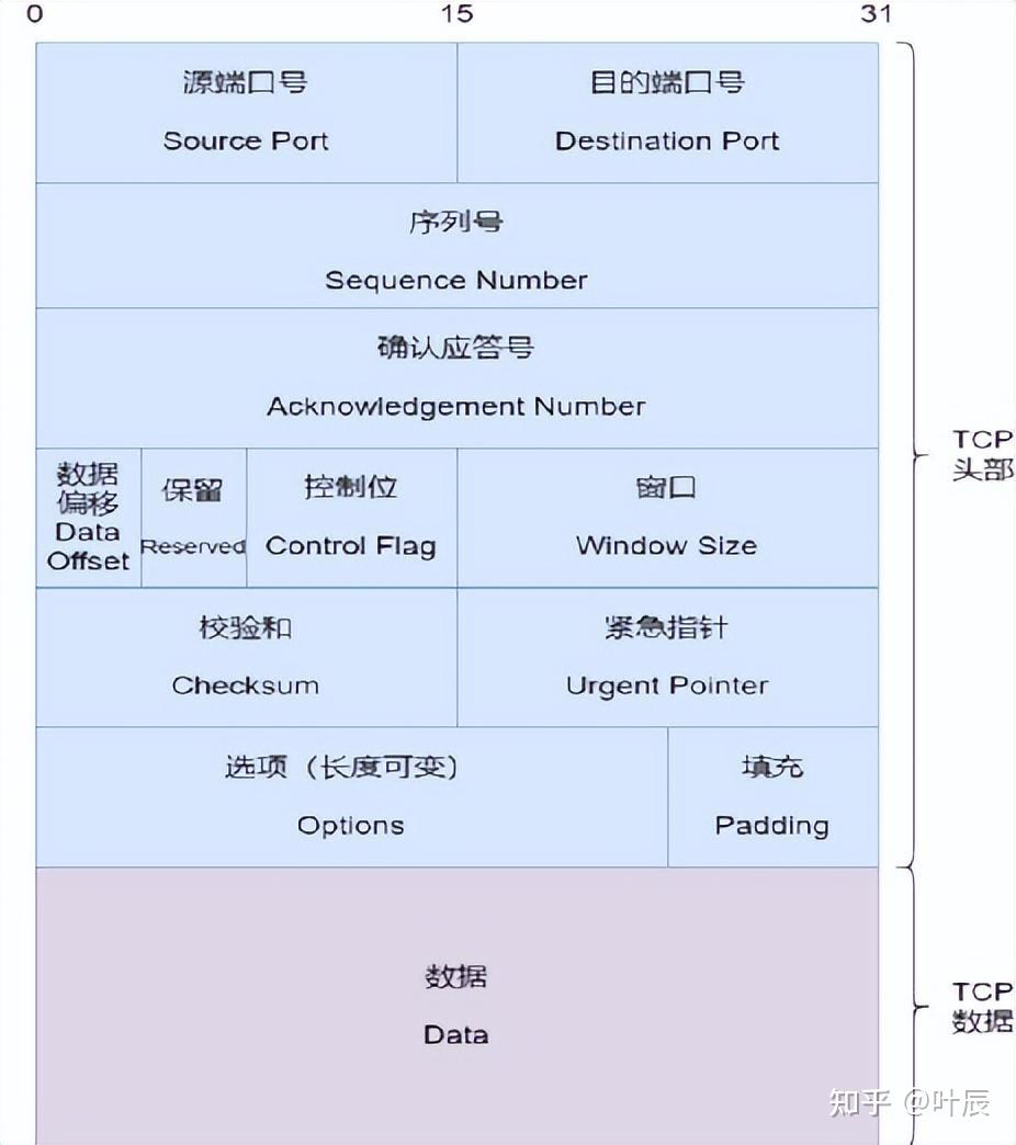 Wireshark wireshark
