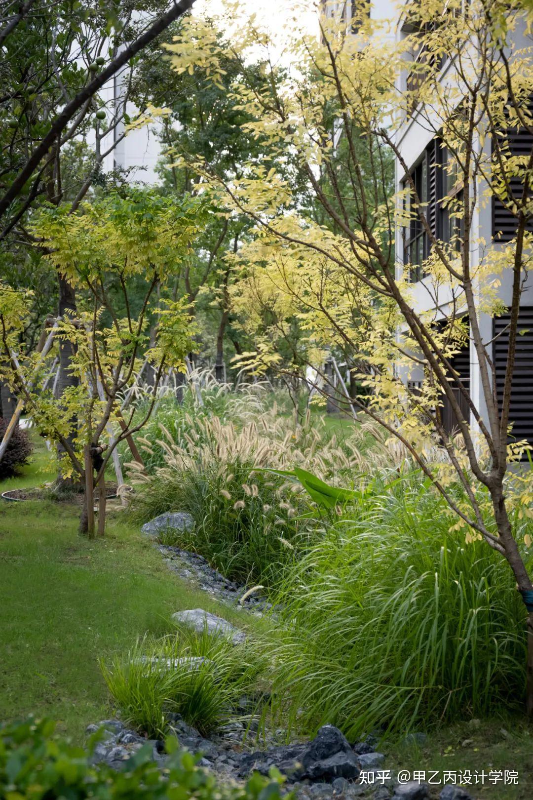 奥雅做的"雨水生态"景观设计,上了热搜!