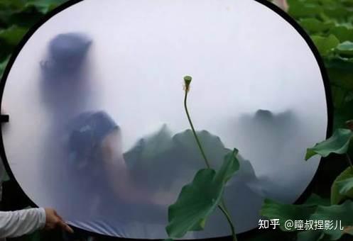 摄影入门必学基础之10反光板篇 - 知乎