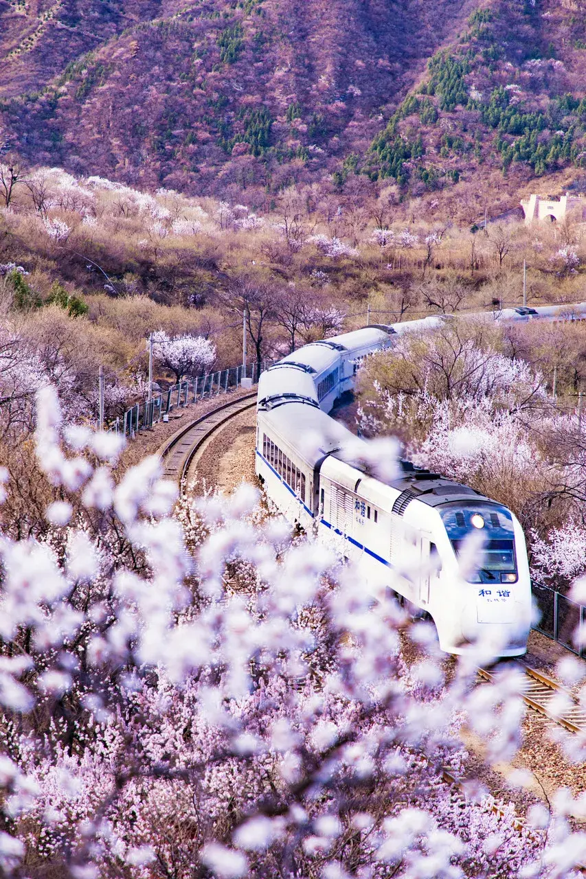 北京市郊铁s2线