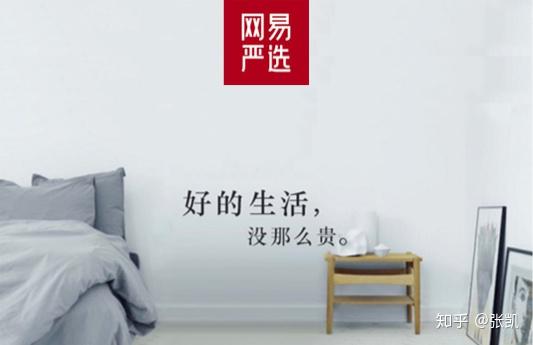 电商江湖的一道清流网易严选双11忠告用户不要被复杂玩法套路