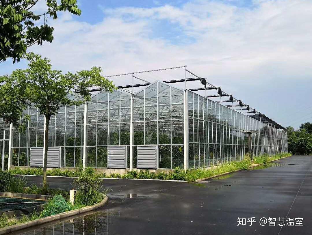 玻璃温室_广西温室大棚-广西农业大棚-广西安禾农业科技有限公司