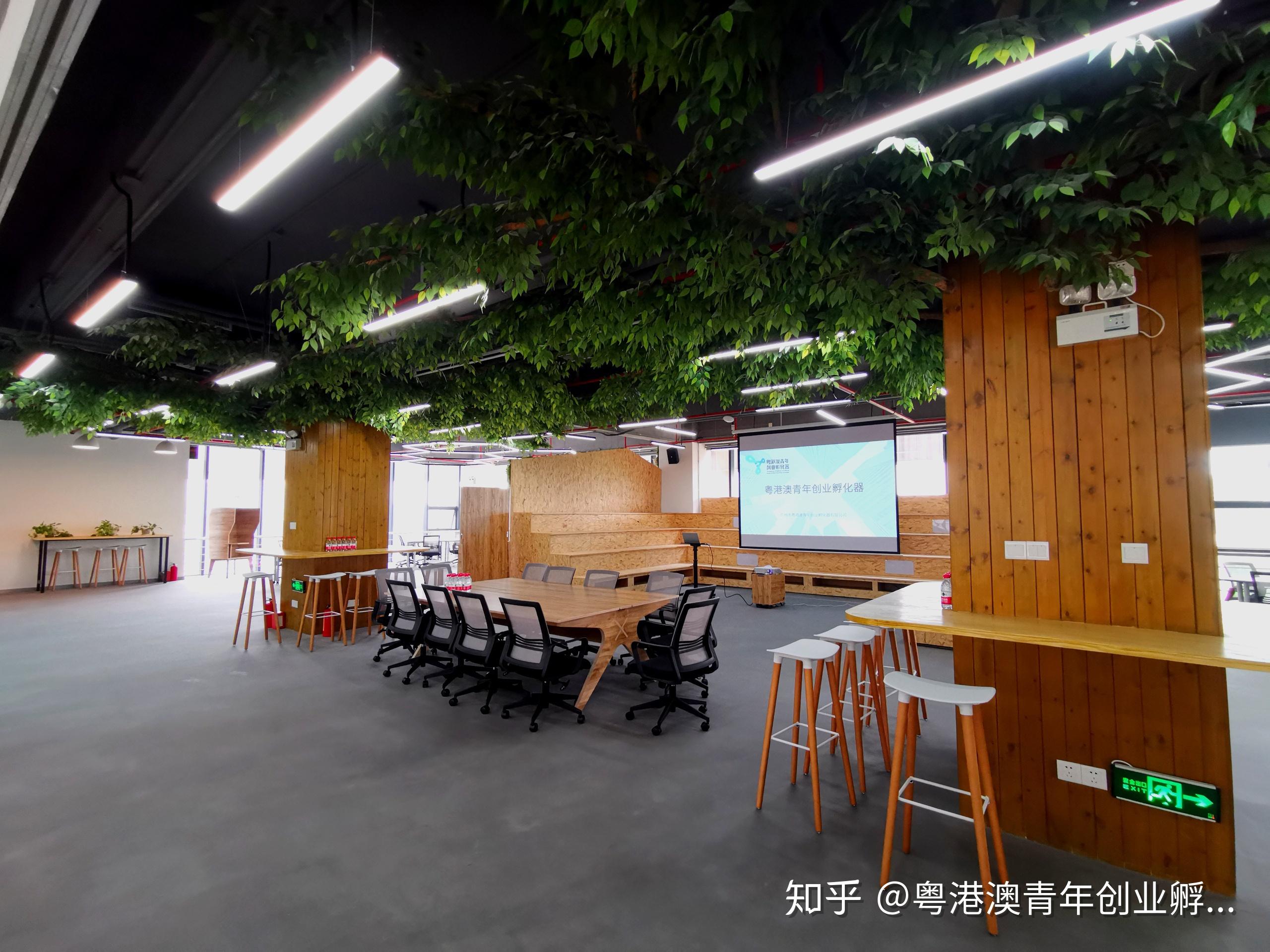 简介| 粤港澳青年创业孵化器 - 知乎