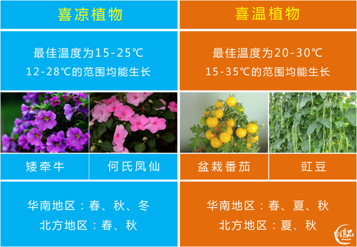 家庭播种技巧 - 知乎