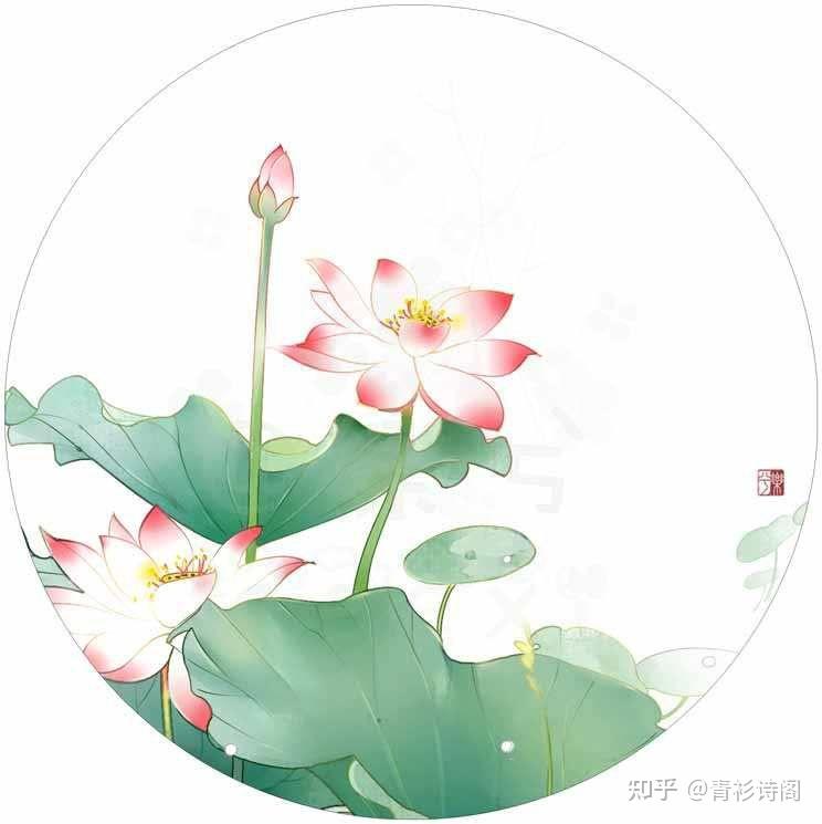 人如花，花解语 - 知乎