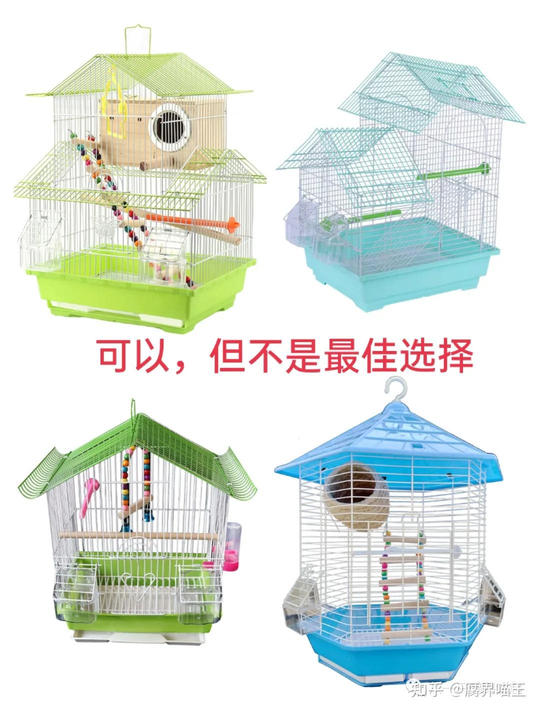 如何布置鸟笼（1） - 知乎