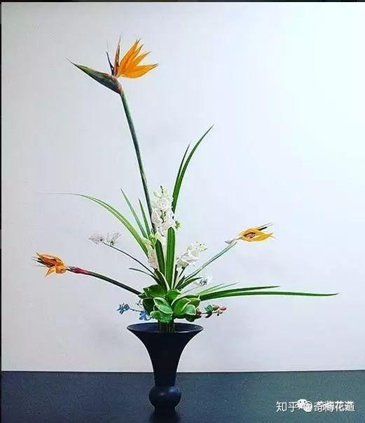 划重点了！五分钟让你了解日式立花 - 知乎