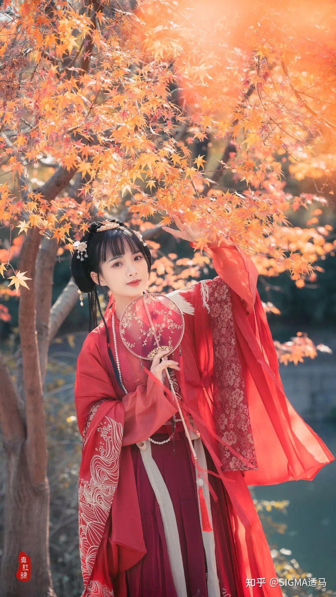 85mm f1 4 dg dn 