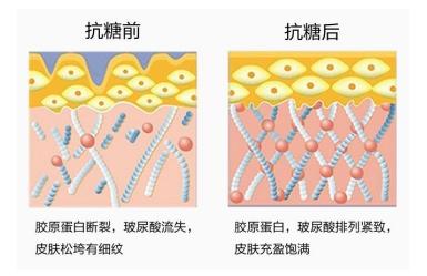 肌肽披著抗糖化外衣的皮膚屏障守護者