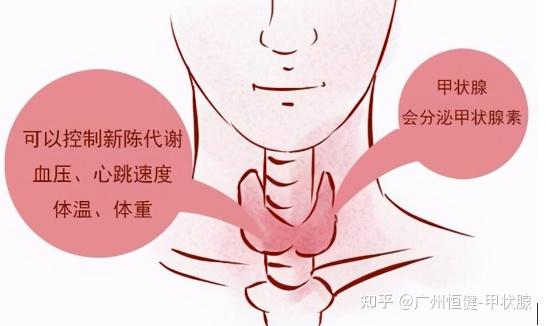 什么是亚临床甲减？它和甲减有什么区别？ - 知乎