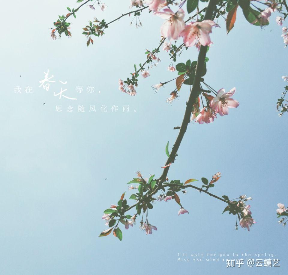 有哪些好用的p图软件?