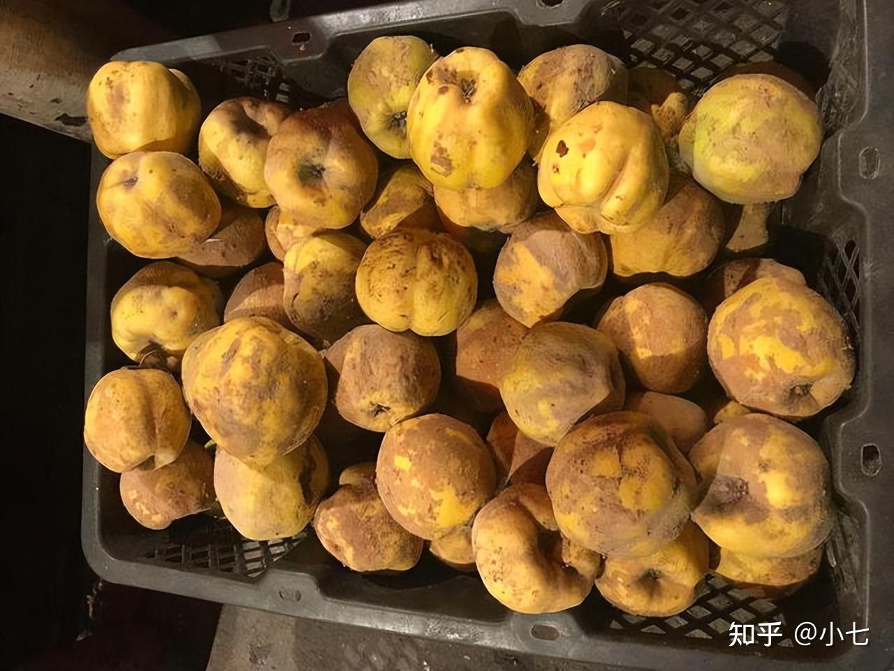 外形很“丑”，却是“水果之皇”，国外当香水用，国内当甜品吃 - 知乎