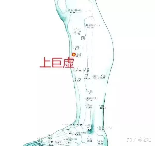针灸配穴及补泻原理! - 知乎
