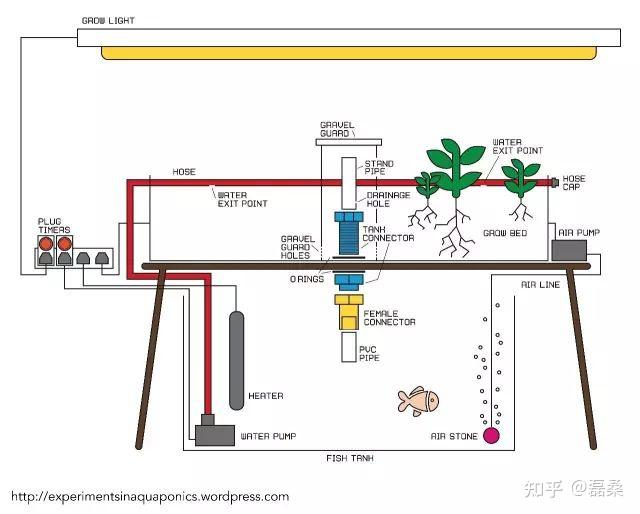 鱼菜共生-原理图