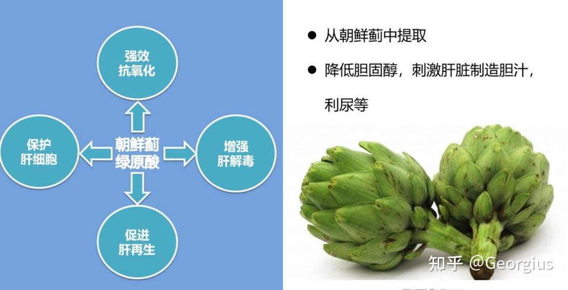 减脂营养素护肝茶蓟椰橄提取物