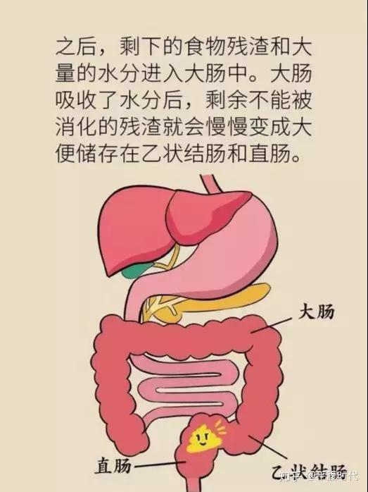 产后便秘到底是个什么原因