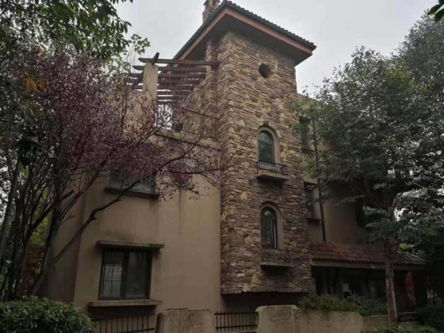 长沙法拍房推荐橘郡17a栋101室别墅