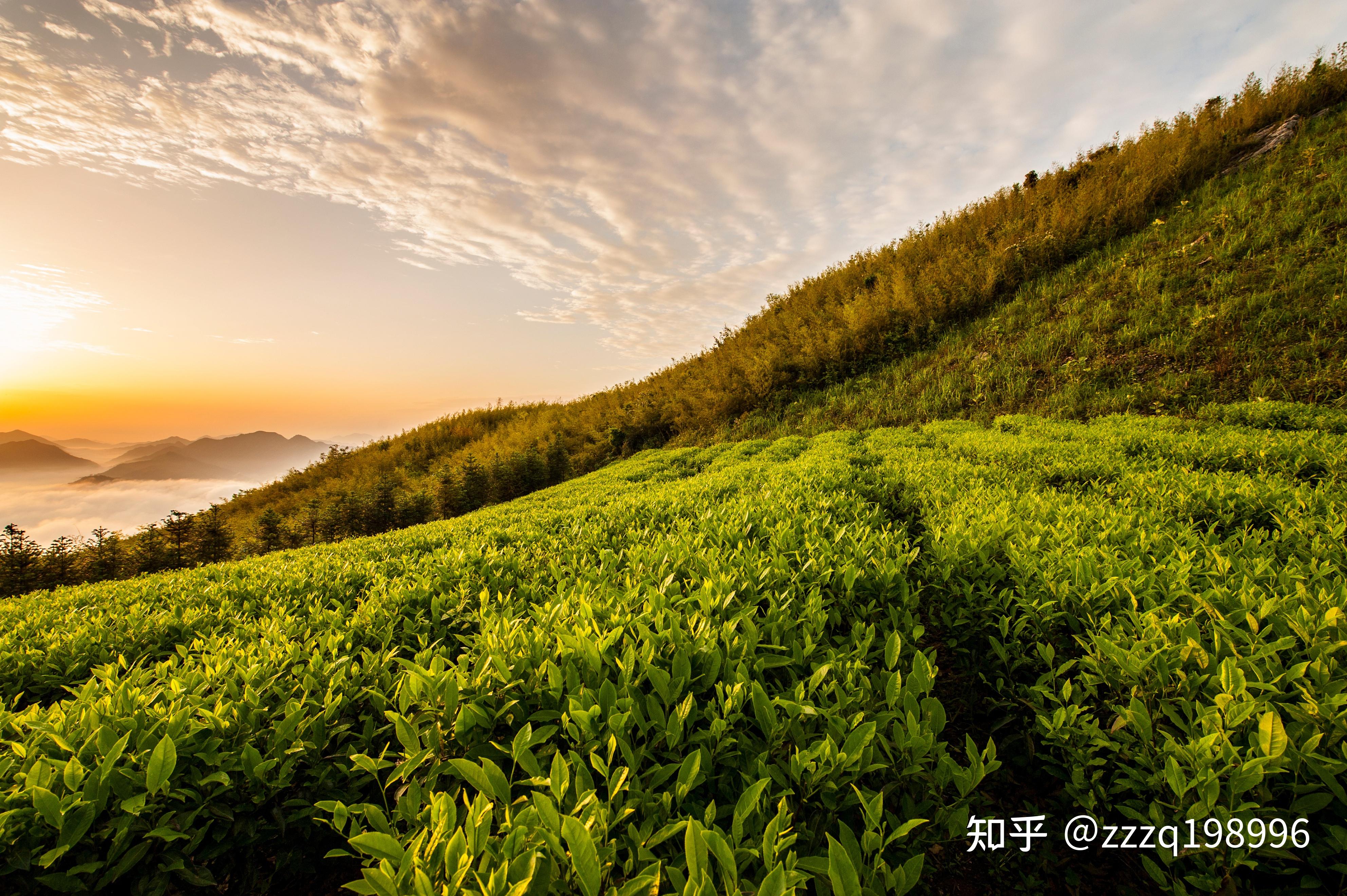 云台山风景区,美景如山水画卷 - 知乎